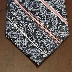 Platinum Designs Blue Pink Hand Made 100% Polyester Men’s Neck Tie Made In China